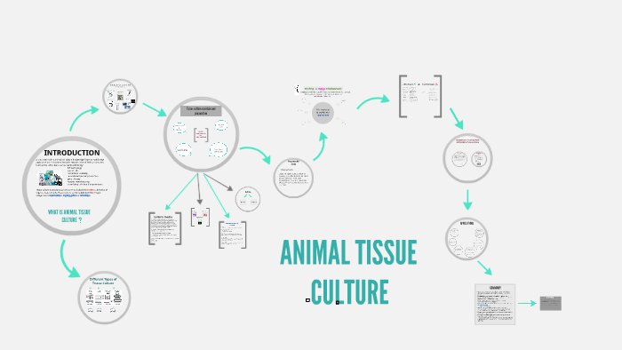 ANIMAL TISSUE CULTURE by Aqeela Manuideen