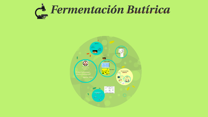 Fermentación Butírica by ERIKA CAHUASQUI on Prezi
