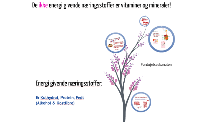 Kulhydrat, protein, fedt og kostfibre by Kathrine Hansen on Prezi