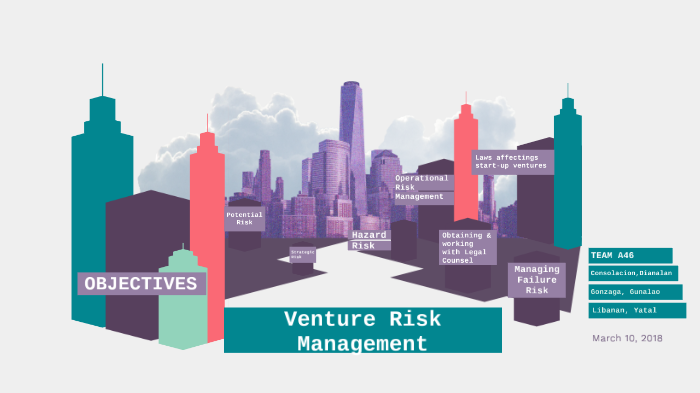 Venture Risk Management by kristine yatal on Prezi