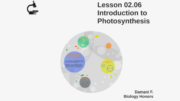 Lesson 02 06 Introduction To Photosynthesis By Shamar Facey