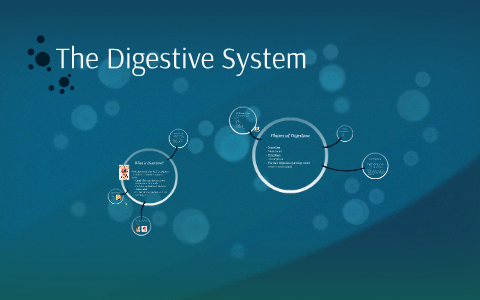 The Digestive System by Hannah Forrest on Prezi