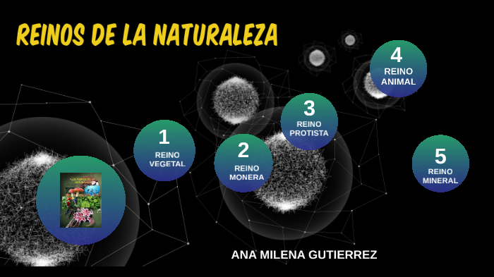 LOS REINOS DE LA NATURALEZA by milena gutierrez on Prezi