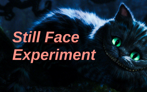 experiment still face