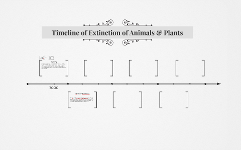 Timeline of Extinction of Animals & Plants by Julius Salomon