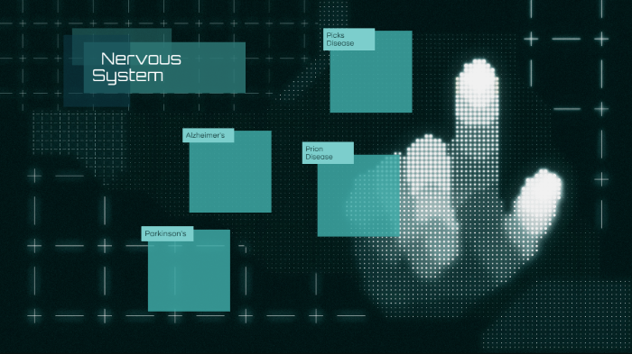 Nervous System Project by Dylan Hamilton on Prezi