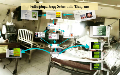 Pathophysiology Schematic Diagram by Neugene Cu on Prezi