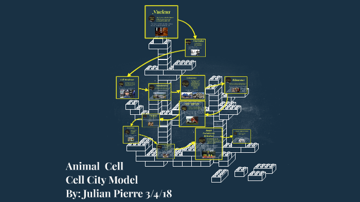 Cell City Model (Animal Cell) by Julian Pierre on Prezi