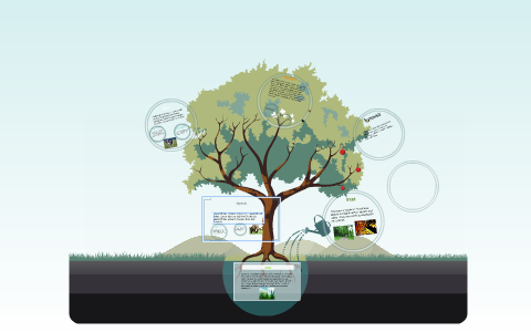 african lion food web by Tyanna Lewis on Prezi