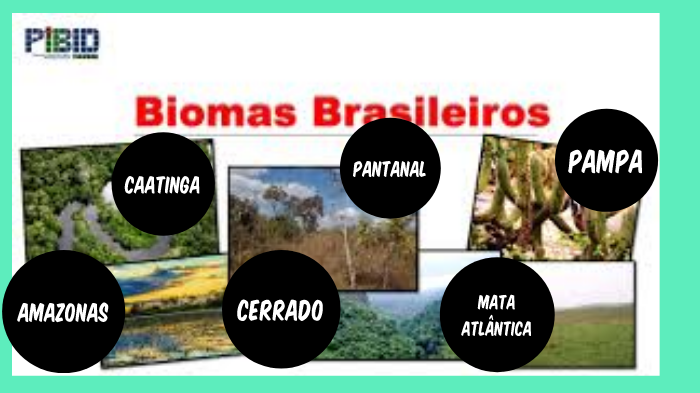BIOMAS by nathan pereira on Prezi