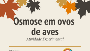 atividade experimental osmose