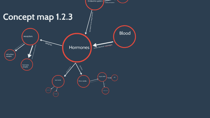 Blood Glucose Levels Concept Map Answers