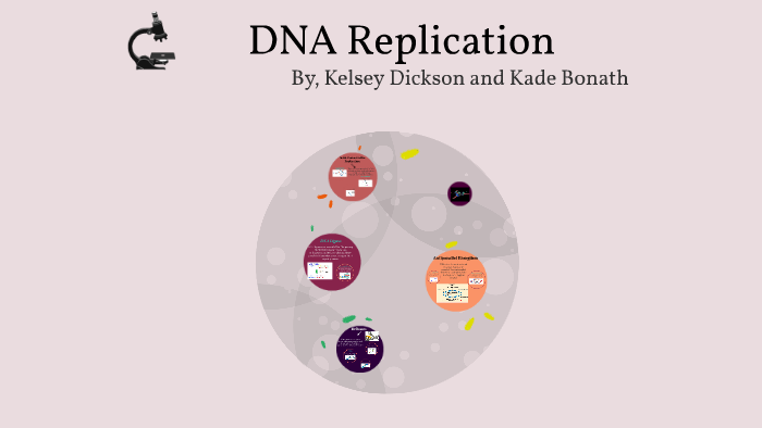 DNA Replication by Kelsey Dickson on Prezi