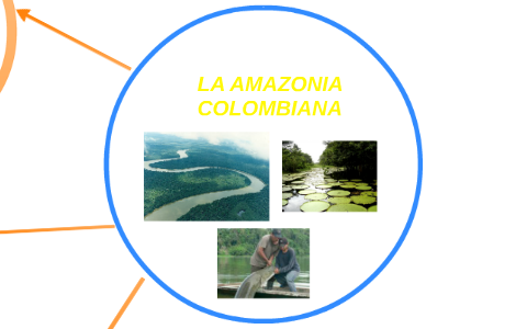 LA AMAZONIA by Mauro chavarro vidales on Prezi
