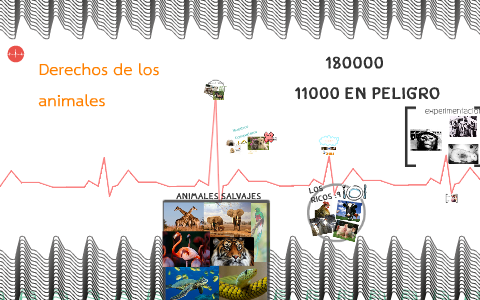 derechos de los animales by on Prezi