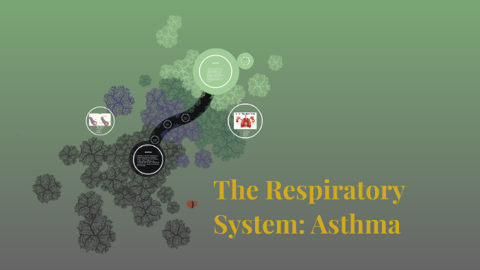 The Respiratory System: Asthma by Aylish Hennen on Prezi