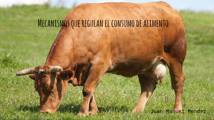 mecanismos que regulan el consumo de alimento by Juan Mendez on Prezi