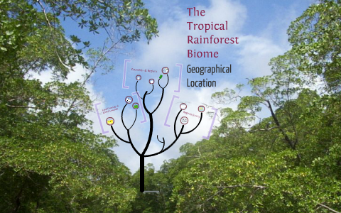 The Tropical Rainforest Biome: Geographical Location by ...