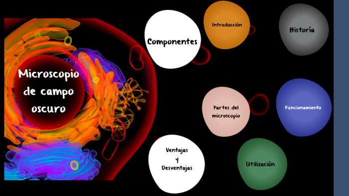 Microscopio de campo oscuro by Ana María García on Prezi