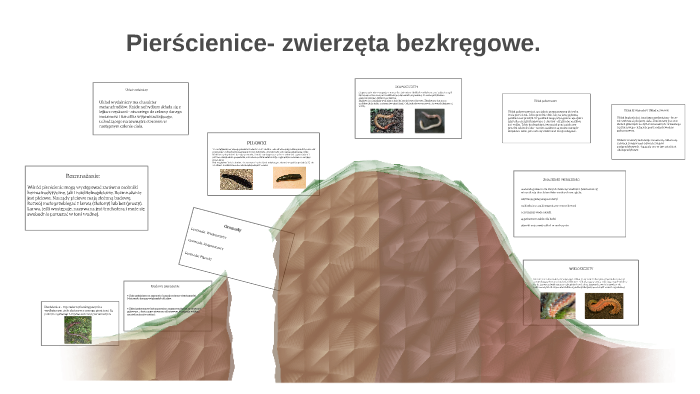 Pierścienice- zwierzęta bezkręgowe. by Anita Feist on Prezi