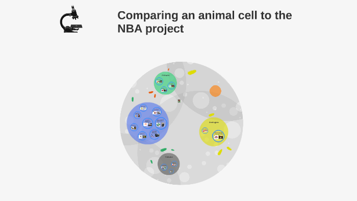 Comparing an animal cell to the NBA project by jake wisniewski on Prezi
