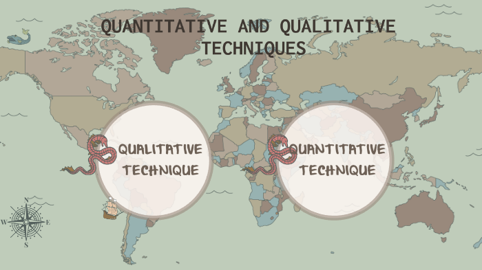 QUANTITATIVE AND QUALITATIVE TECHNIQUES by Nina Mijie on Prezi