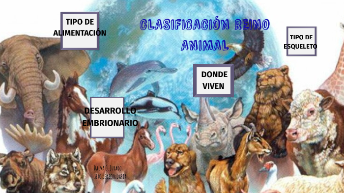 Principales criterios Clasificación animal by dalva quispe jurado on Prezi