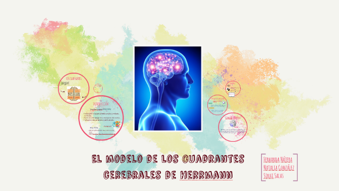 El modelo de los Cuadrantes cerebrales de Herrmann by Fernanda Nájera