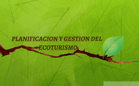 PLANIFICACION Y GESTION DEL by zoraya carolina cely santiago on Prezi