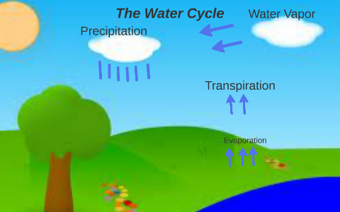 The Water Cycle by Rachel King on Prezi