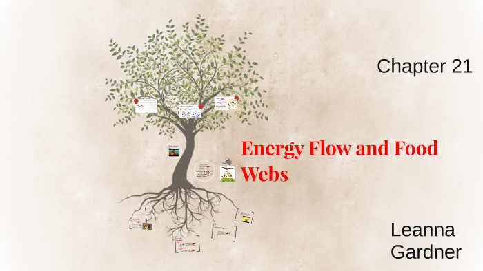 Energy Flow And Food Webs By Leanna Gardner On Prezi   Xo7itjawk4s6ef6e6pdja5i6h36jc3sachvcdoaizecfr3dnitcq 3 0 