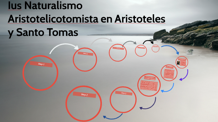 Ius Naturalismo Aristotelicotomista en Aristoteles y Santo T by