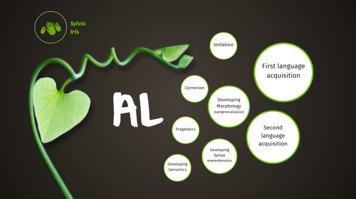 AL module map by Li Iris on Prezi