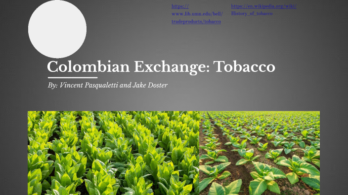 columbian-exchange-tobacco-by-jake-doster