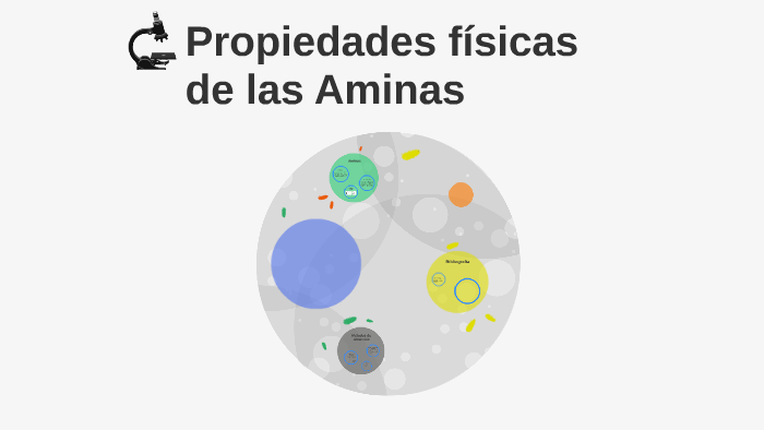 Propiedades Fisicas Y Quimicas De Las Aminas