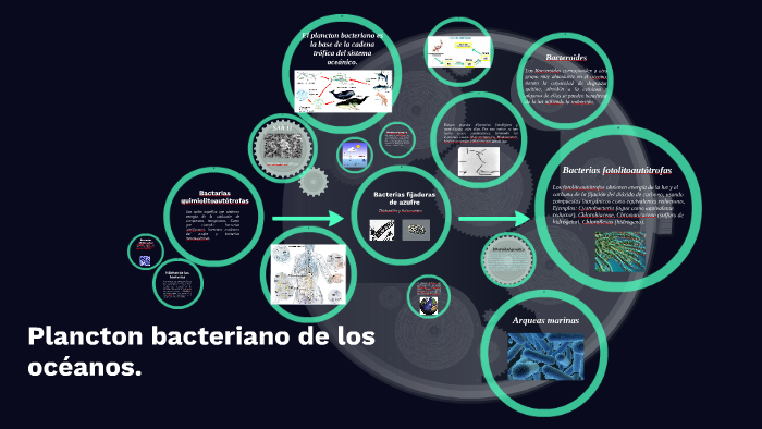 Diversidad y Clasificación de microorganismos marinos by Loyda García ...