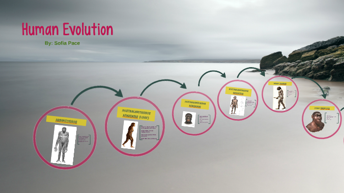 Human Evolution by Sofia Pace on Prezi