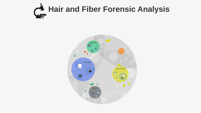 hair-and-fiber-forensic-analysis-by-megan-welliver