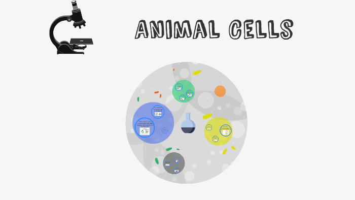 Animal Cells by Jaidyn Riffle on Prezi