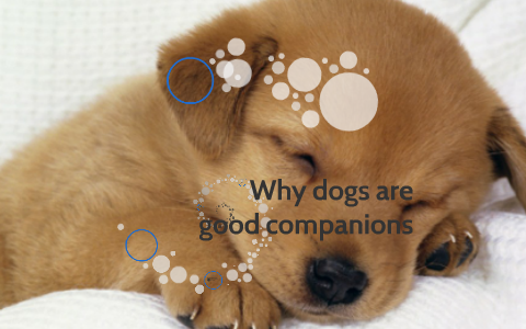 are dogs good companions
