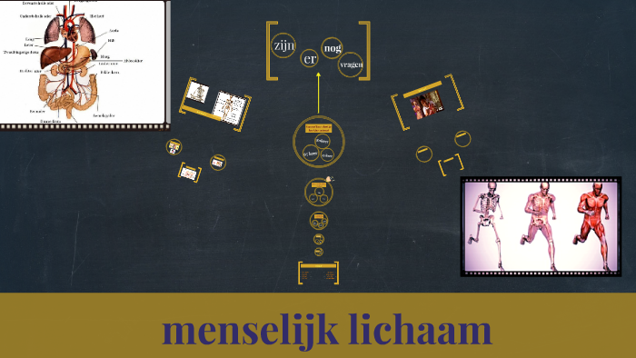 mensenlijk lichaam by Pien Alferink on Prezi