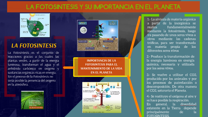 IMPORTANCIA DE LA FOTOSINTESIS by Pablo Pérez on Prezi