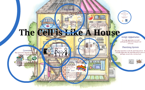 The Cell is Like The House by Grace Delph on Prezi