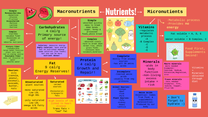 Nutrient Concept Map By Bahar Gholzom On Prezi