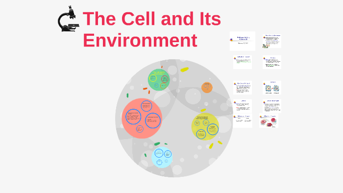 Cells And Their Environment Worksheet Answers - Promotiontablecovers