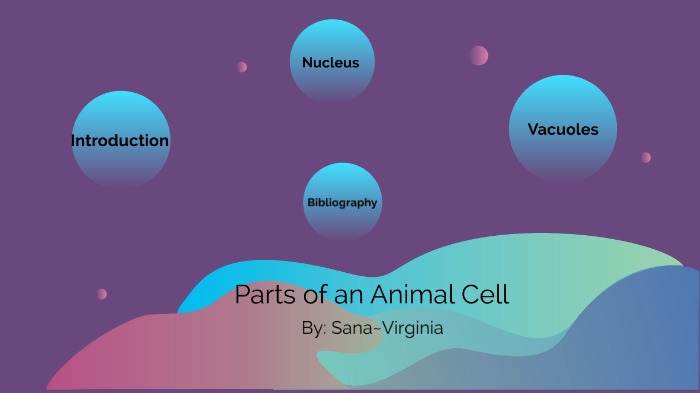 Parts of an Animal Cell by Sana K on Prezi