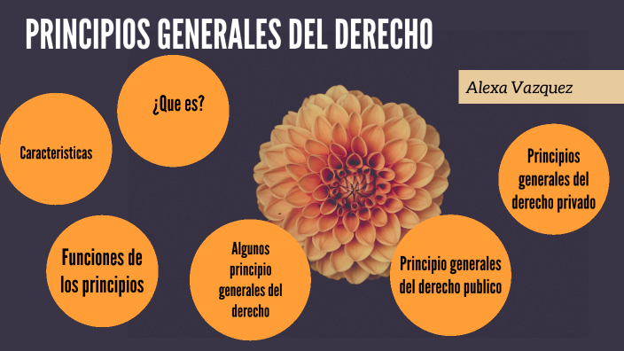 PRINCIPIOS GENERALES DEL DERECHO By Alexa Yunivia Vazquez Hernández On ...