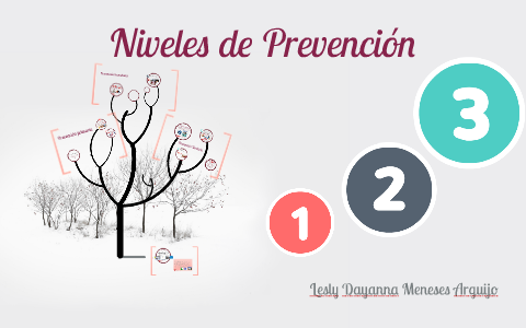 Niveles De Prevencion Enfermeria