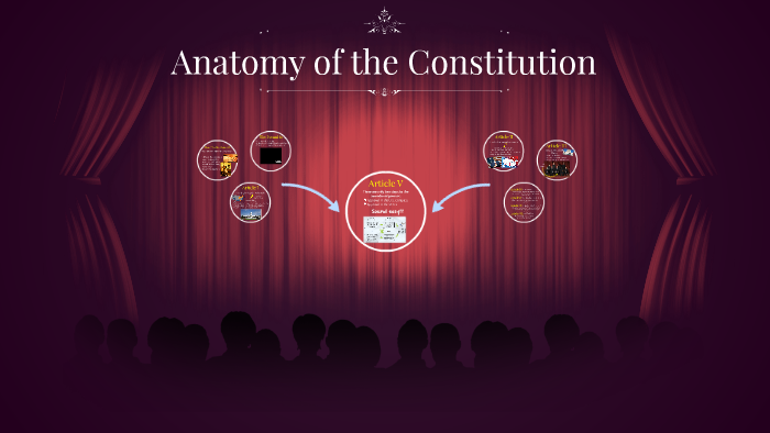 anatomy-of-the-constitution-by-amy-rogers