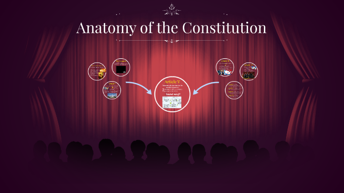 Anatomy Of The Constitution By Amy Rogers